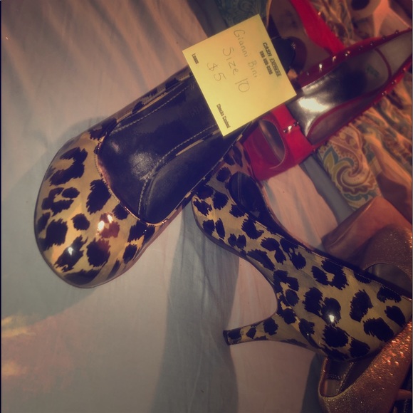 gianni bini cheetah